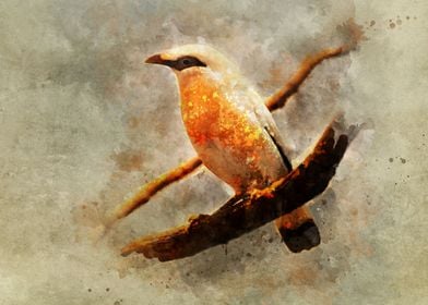 Orange and white bird on the branch. Digital artwork
