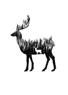 The Deer