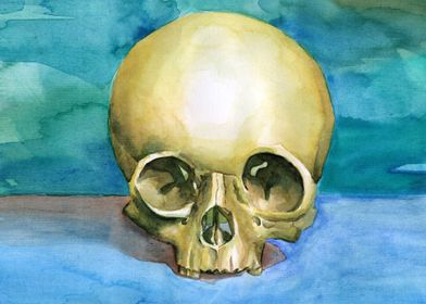 skull watercolour painting