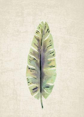 Leaf I