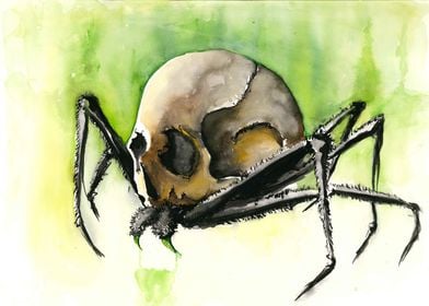 A spider wearing a skull or a skull spider.