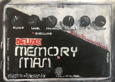 Deluxe Memory Man Delay pedal acrylic painting. Used fa ... 