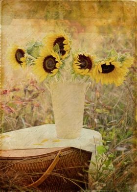 Sunflowers in a field with a vintage look and feel. 