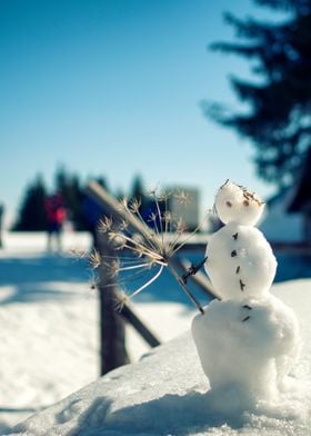 Winter snowman