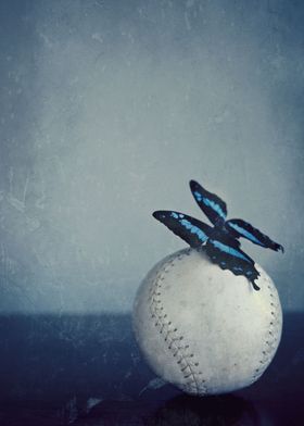 Butterfly on a baseball