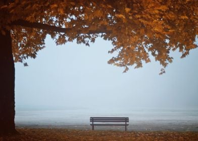 Lonely bench for calm evenings. 
