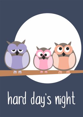 Hard day's night illustration with cute owls