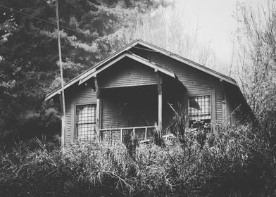 wooden house in the forest with rain in black and white ... 