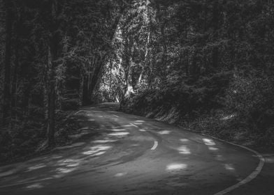 Road to nature on Highway 1, California, USA in black a ... 