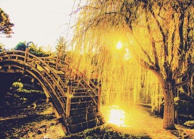 summer light in the garden with tree and wooden bridge