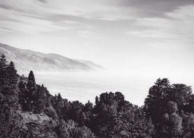 Beautiful ocean view with forest front view at Big Sur, ... 