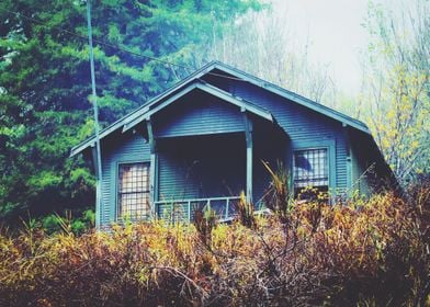 green wooden house in the forest in winter