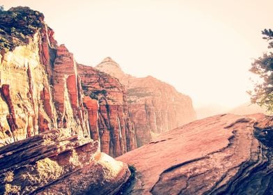 At Zion national park, USA in summer