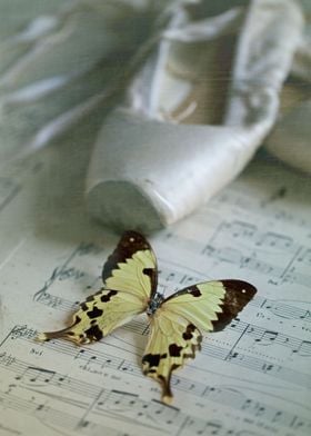 Ballet shoes and butterfly on a sheet music.
