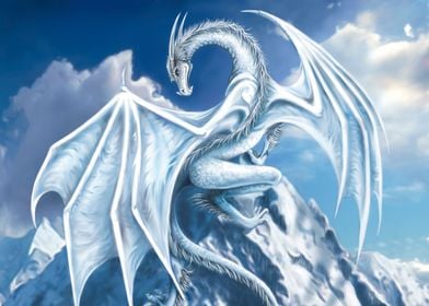 The white dragon