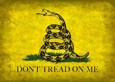 The Gadsden flag is a historical American flag with a y ... 