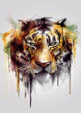 Tiger (alpha Series)
