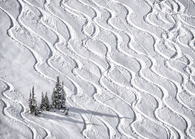 Ski tracks through the powder in the Wasatch Mountains, ... 