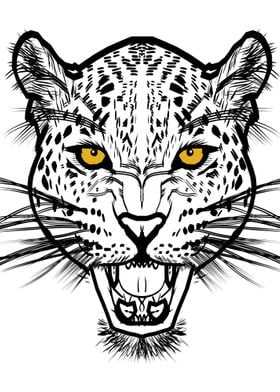 Jaguar Design