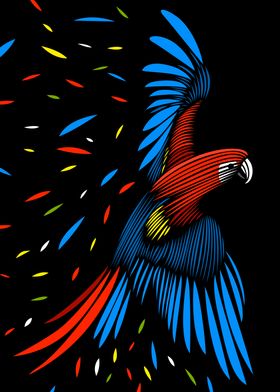 Macaw lines