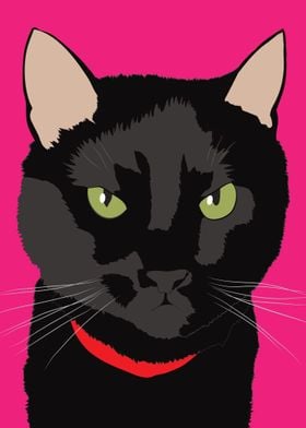 Black cat with pink background 