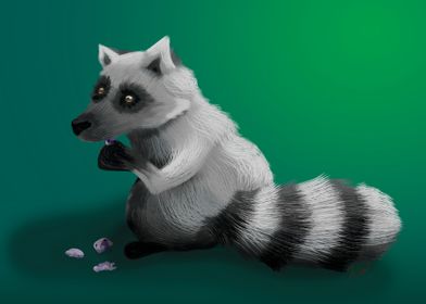Raccoon snacks