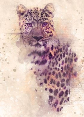 Gepard