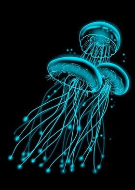 Jellyfish