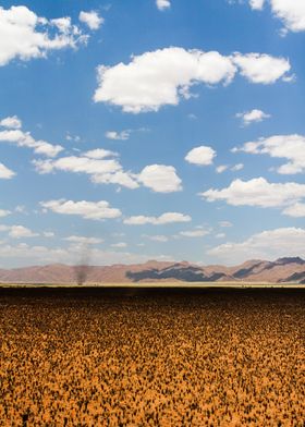 This shot was taken in Namibia, Farm Kanaan 2011 after  ... 