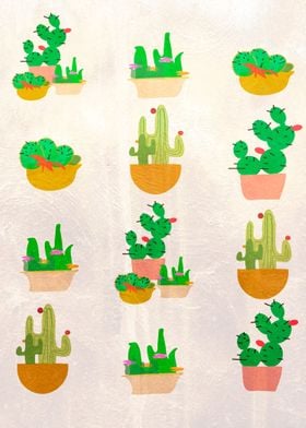 Cacti Festival