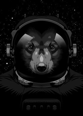 Bear astronaut