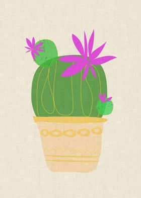 The Blooming Cactus