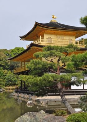 Kinkaku-ji Temple Japan