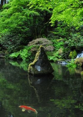 Peace • Japanese Garden