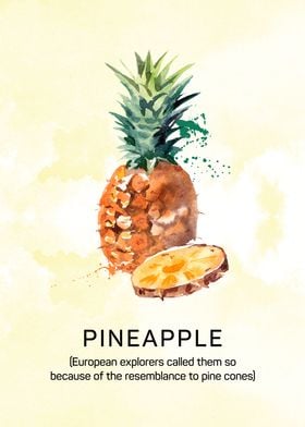Fun facts about pineapples. Pineapple in watercolor.