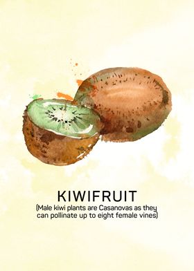 Fun facts about fruits: Male kiwi plants are Casanovas  ... 