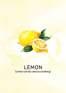 Fun facts about fruits: Lemons can be used as a battery ... 