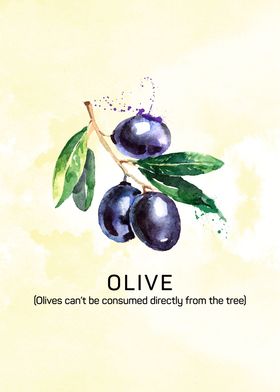 Fun facts about fruits: Olives can’t be consumed direct ... 