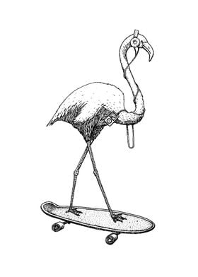 Flamingo listening music while she playing skateboard.