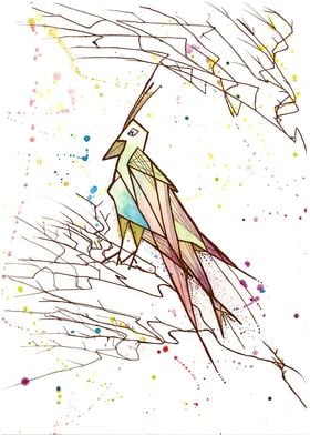 bird in multicolors