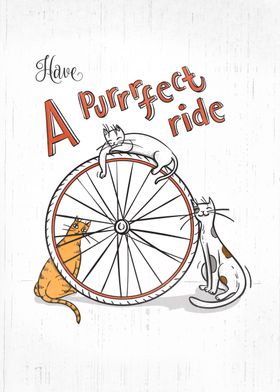 Cats & bikes = a purrfect connection... so remember to  ... 