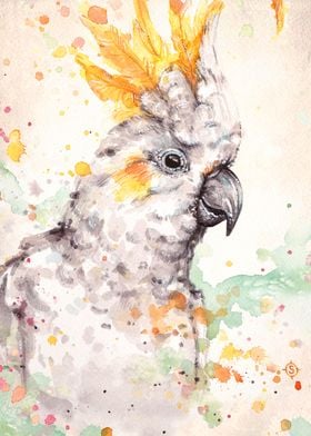 "Clowning Around (Sulphur Crested Cockatoo)"   Water Co ... 