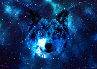 We are All made of Stars-Wolf