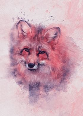 Red Fox