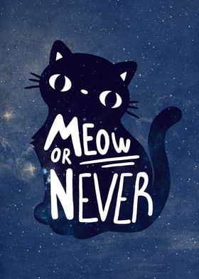 Now/Meow or never