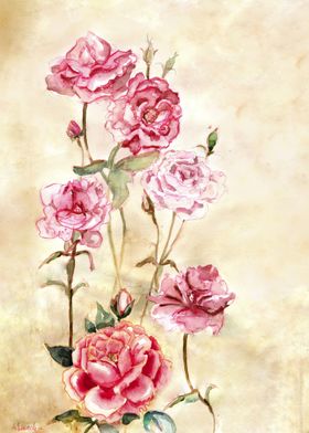 Pink Roses on creamy background