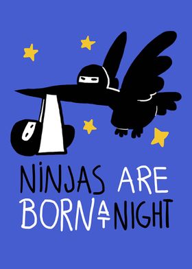 Ninjas are born at Night