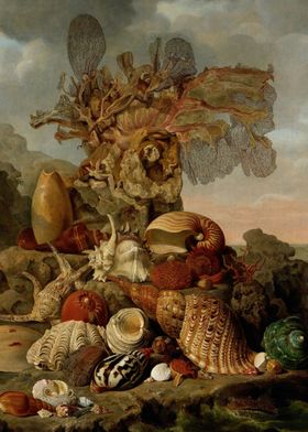 Henricus Franciscus Wiertz - Shells and Marine Plants,  ... 