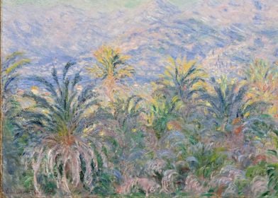 Claude Monet - Palm Trees at Bordighera, 1884, oil on c ... 