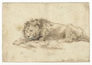 Rembrandt Harmensz van Rijn - Liggende leeuw. 1650 - 16 ... 